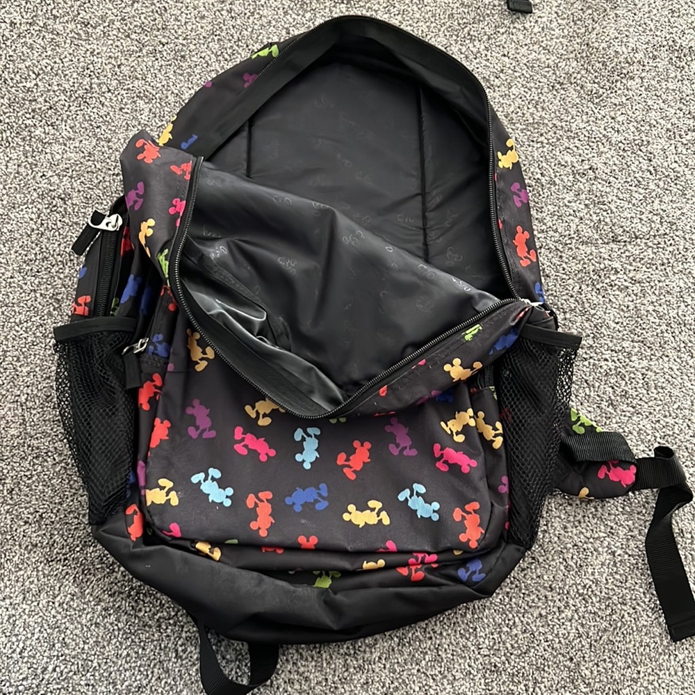 Disneyland Backpack - Picture 5 of 5